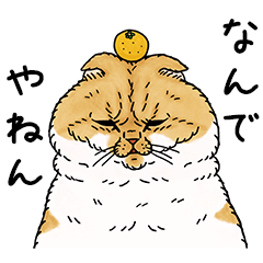 [LINEスタンプ] 世にも不思議な猫世界～関西弁編～の画像（メイン）