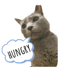[LINEスタンプ] なまふのスタンプ