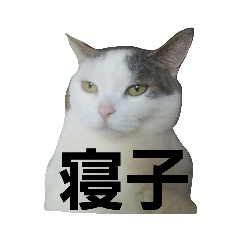 [LINEスタンプ] INU★JIRO