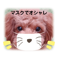 [LINEスタンプ] May＆Cocoa