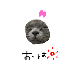 [LINEスタンプ] ふぅさん②