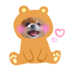 [LINEスタンプ] 小太郎がいっぱい