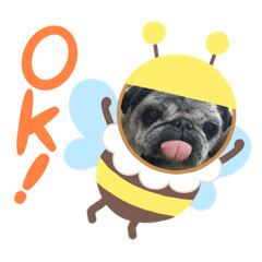 [LINEスタンプ] ふがふがぐー太