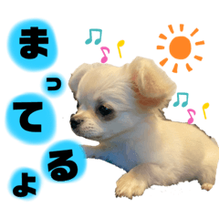 [LINEスタンプ] サダハルです。