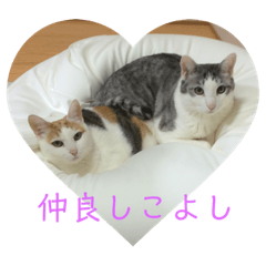 [LINEスタンプ] クロっぷ