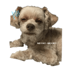 [LINEスタンプ] それ行けアポロくん