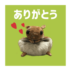 [LINEスタンプ] 世界一可愛いモモンガ