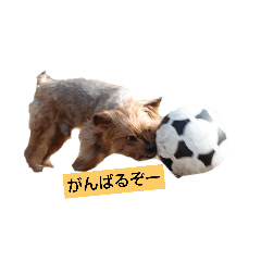 [LINEスタンプ] ケルルンルン