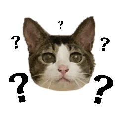 [LINEスタンプ] たじかん