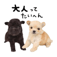 [LINEスタンプ] ぐりたろう＆てんすけ