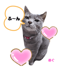 [LINEスタンプ] かわいこちゃん'sの日常