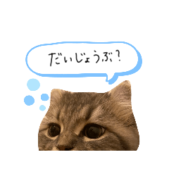 [LINEスタンプ] ぽっちゃんの日常スタンプ