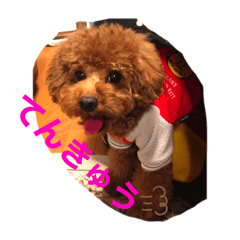 [LINEスタンプ] THIS IS れお
