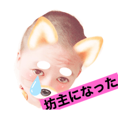 [LINEスタンプ] 毎日かわべ