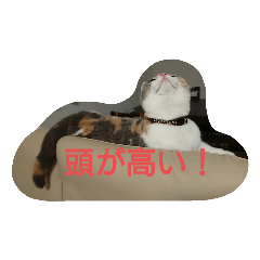 [LINEスタンプ] 頭が高い