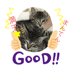 [LINEスタンプ] 満天ライフ