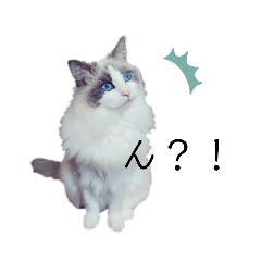 [LINEスタンプ] 美猫のネイビス2