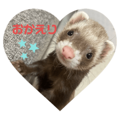 [LINEスタンプ] るなとるなのラインスタンプ