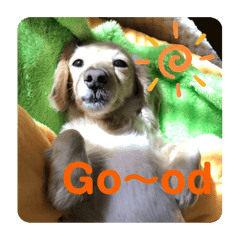 [LINEスタンプ] ミルクちゃんだよ！