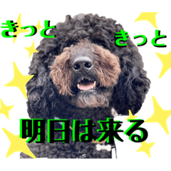 [LINEスタンプ] タルボンと頑張ろう