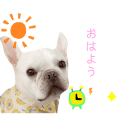 [LINEスタンプ] フレブルきなこスタンプ第二弾