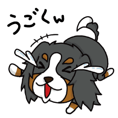 [LINEスタンプ] バーニーズマウンテンドッグアニメスタンプ