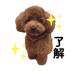 [LINEスタンプ] レイアの言葉