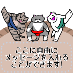 [LINEスタンプ] トリオ猫のメッセージスタンプ ハチワレの画像（メイン）