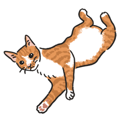 [LINEスタンプ] さけ ねこ