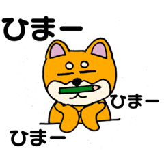 [LINEスタンプ] 柴犬 しばたくんスタンプ