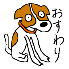 [LINEスタンプ] ジャックラッセルテリアのサラちゃん