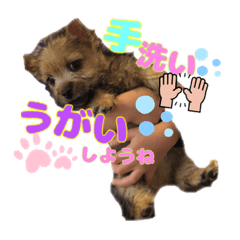 [LINEスタンプ] らいむくんスタンプ❤