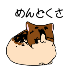 [LINEスタンプ] 猫のスーちゃん