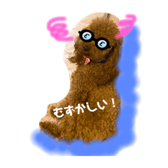 [LINEスタンプ] トイプードル 風和とヴィヴィアン