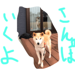 [LINEスタンプ] あたい8さい