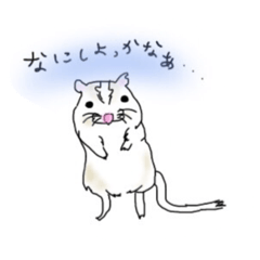 [LINEスタンプ] わが家のかわいいスナネズミ