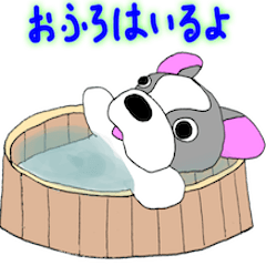 [LINEスタンプ] ガンギマリわんちゃんスタンプ第2弾の画像（メイン）