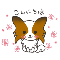 [LINEスタンプ] パピヨンのてまりちゃんイラストスタンプ