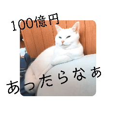 [LINEスタンプ] にゃんこ先輩
