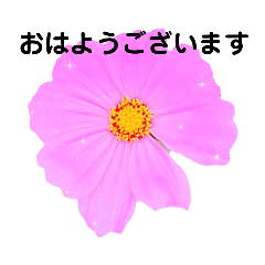 [LINEスタンプ] 日常に使える彩り花スタンプ(敬語.ver)