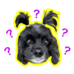 [LINEスタンプ] アメコカのリブ2