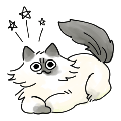 [LINEスタンプ] エキゾねこ べるちゃん