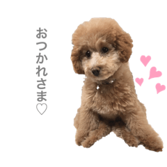 [LINEスタンプ] おはぎさん2