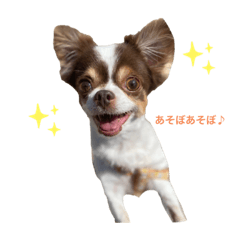 [LINEスタンプ] わんこの日常①