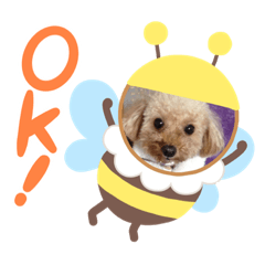 [LINEスタンプ] トイプーのラメミミちゃん