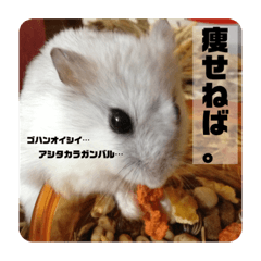 [LINEスタンプ] 杏仁スタンプ。
