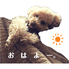 [LINEスタンプ] 保護犬ぽんずの日常