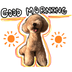 [LINEスタンプ] エブリデイあぽろ