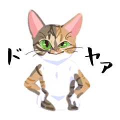 [LINEスタンプ] みんなのうちねこスタンプ