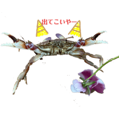 [LINEスタンプ] 海＆自由